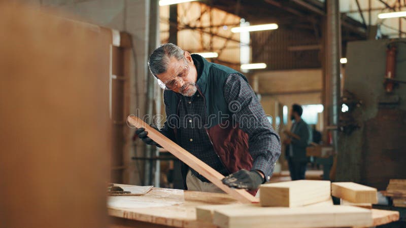Carpenter dojrzałe i sprawdź drewno na meble budowlane lub planowanie projektów renowacyjnych. Pracownik sektora drzewnego i zdjęcia stock
