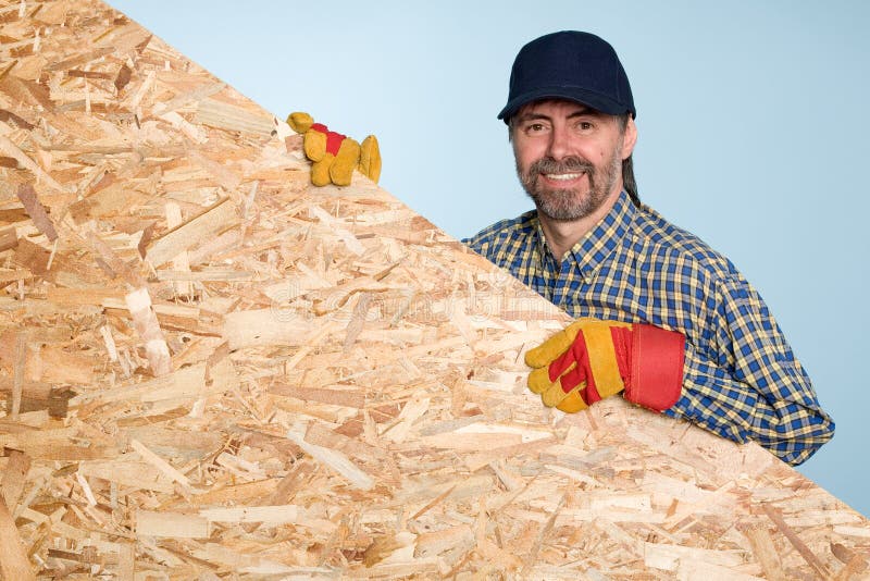 Carpenter Holds a Sheet Plywood Stock Photo Image of builder