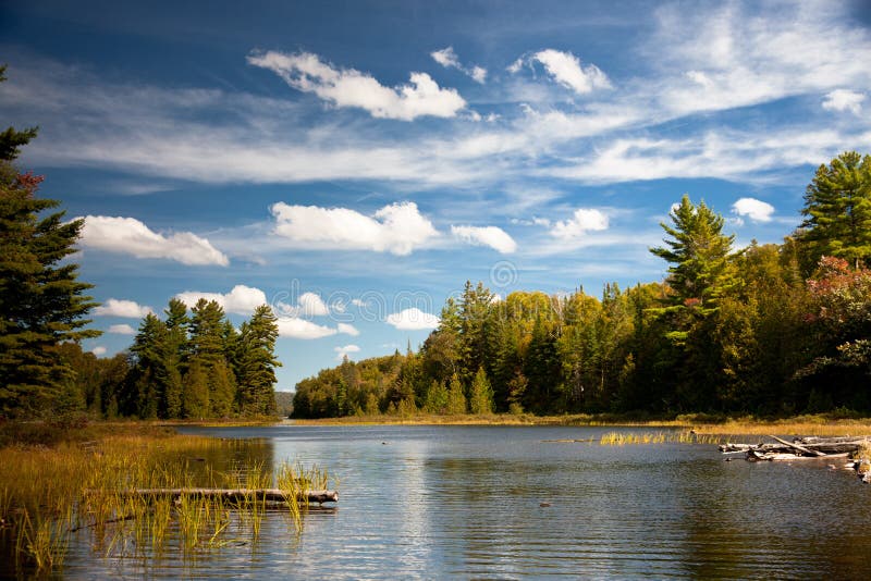 Carpenter Lake clear water vista