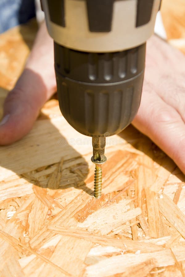 The Employee Screws the Screwdriver into the OSB Board. Stock Photo