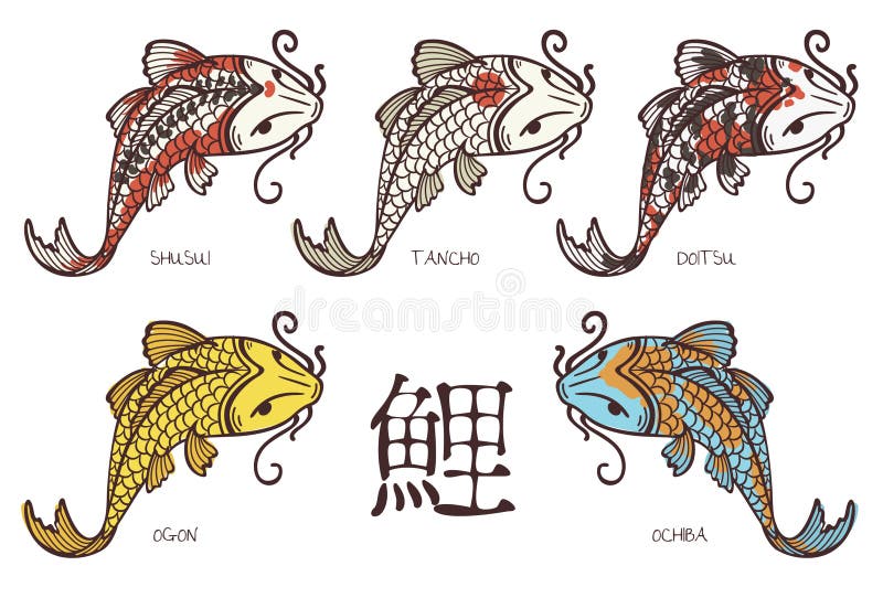 Carpes de Koi illustration de vecteur. Illustration du oriental 52487400