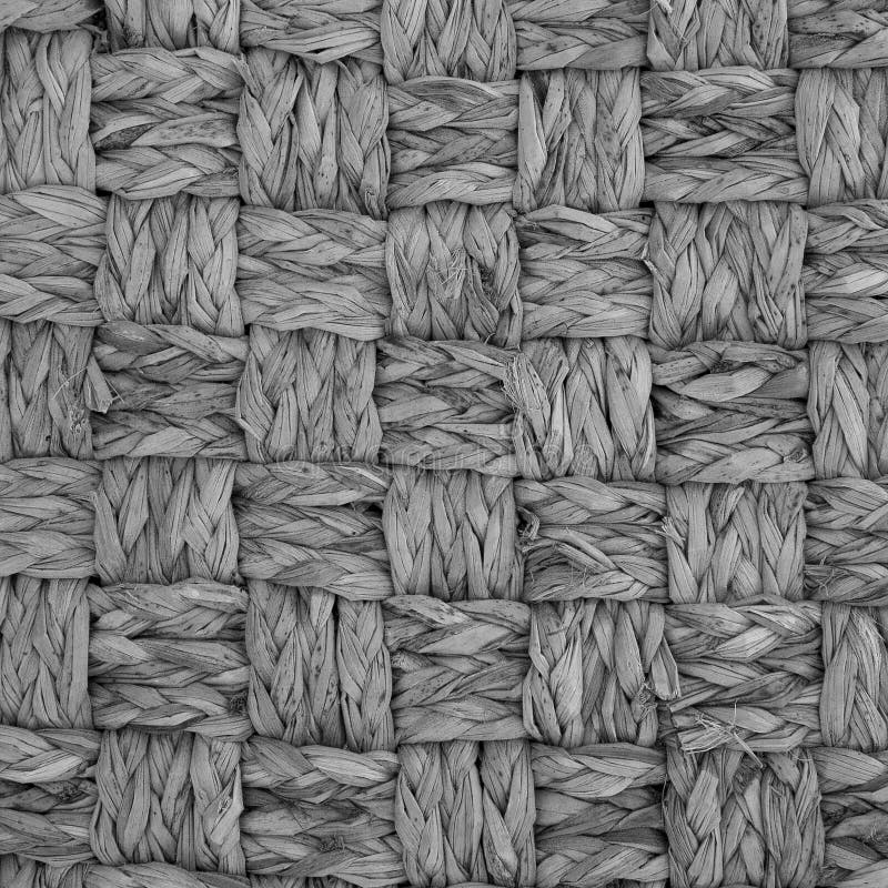 Carpet Water Hyacinth Stock Photos Free & RoyaltyFree Stock Photos