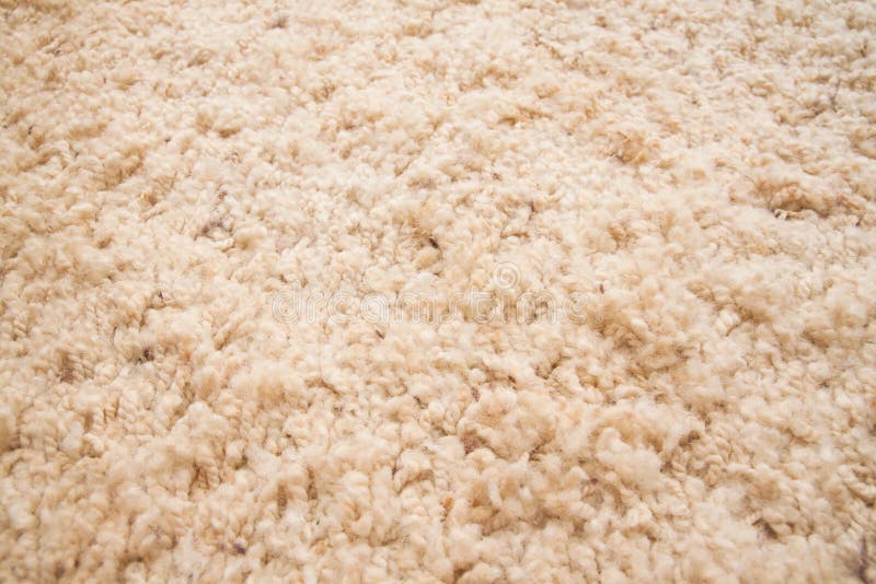 Carpet texture