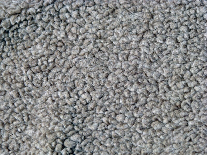 Carpet Texture
