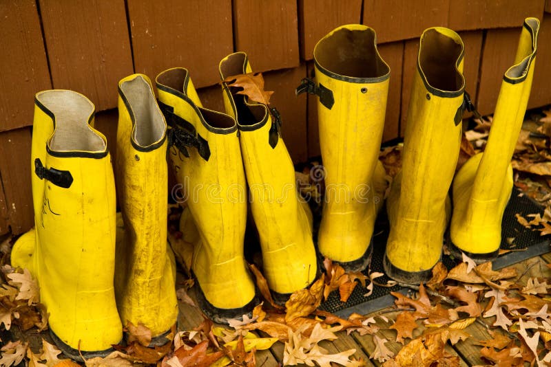 Carregadores de chuva amarelos imagem de stock Carregadores de chuva amarelos imagem de stock