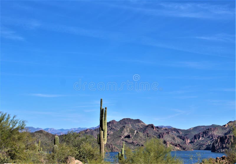 Carretera de Bush, lago Saguaro, bosque del Estado de Tonto, el condado de Maricopa, Arizona, Estados Unidos fotografía de archivo libre de regalías Carretera de Bush, lago Saguaro, bosque del Estado de Tonto, el condado de Maricopa, Arizona, Estados Unidos fotografía de archivo libre de regalías