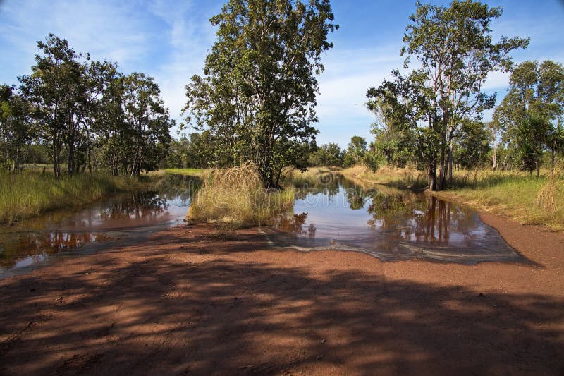 Carretera inundada en el Parque Natural Leaning Tree Lagoon imágenes de archivo libres de regalías