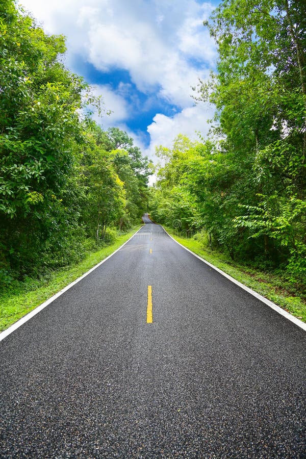 Country road between district to the city with motion blur, Journey way of traveler to the nature, Road in the mountain and the forest for travel to someplace, Asphalt road in the forest and no car. Country road between district to the city with motion blur, Journey way of traveler to the nature, Road in the mountain and the forest for travel to someplace, Asphalt road in the forest and no car.