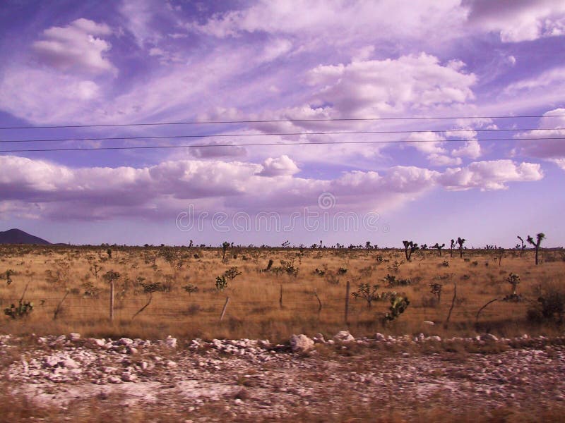 Carretera Saltillo Zacatecas Stockfoto Bild von mexiko, wüste