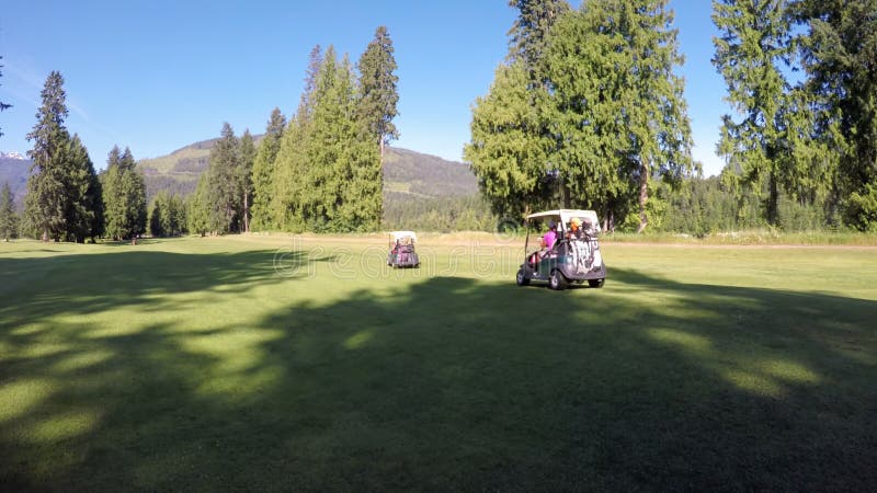 Carretto di golf di guida della gente nel campo da golf 4k