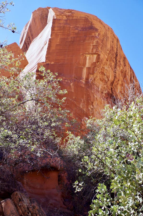 Carri armati del calicò, area rossa di conservazione della roccia, Nevada del sud, U.S.A. fotografia stock libera da diritti Carri armati del calicò, area rossa di conservazione della roccia, Nevada del sud, U.S.A. fotografia stock libera da diritti