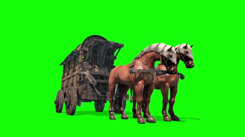 Carriage Horses Run Side Green Screen 3D Rendering Animation Stock ...