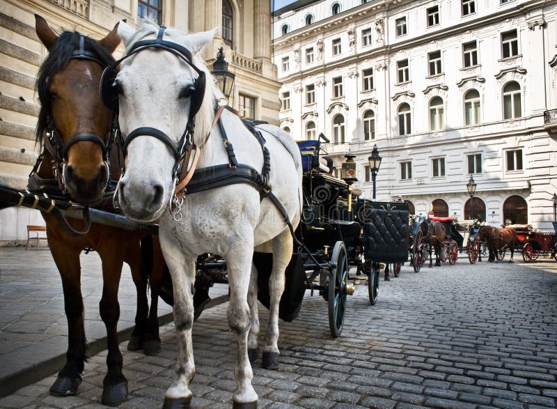 Transporte sobre el palacio, viena,.