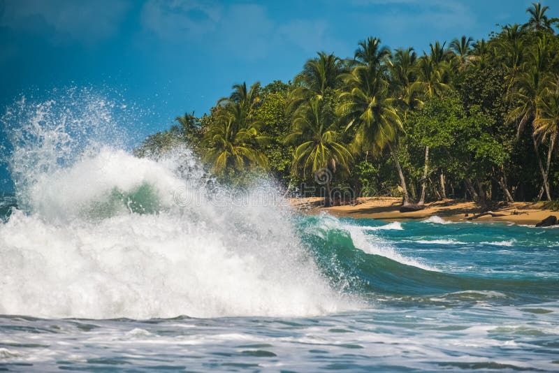 Carribean sea