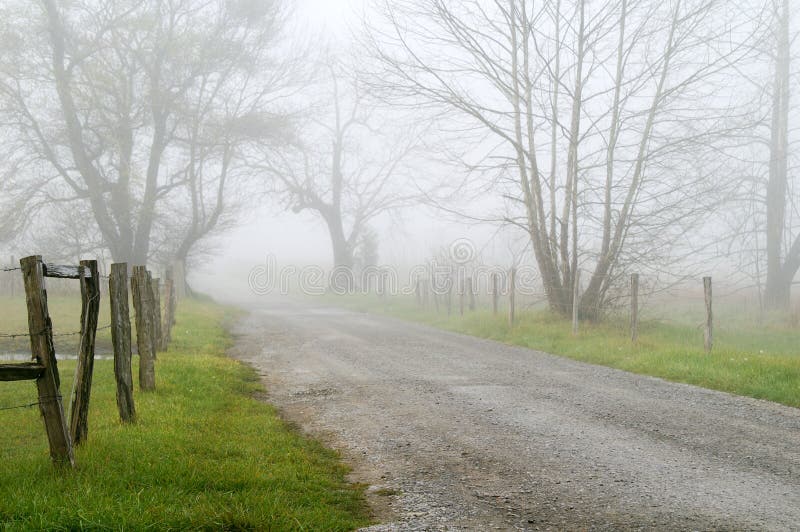 Springtime horizontal view of Sparks Lane in Great Smoky National Park, Tennessee, on a foggy morning with copy space. Springtime horizontal view of Sparks Lane in Great Smoky National Park, Tennessee, on a foggy morning with copy space