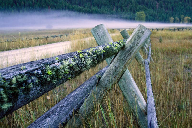 Carril de cerca de madera de la cubierta del musgo fotografía de archivo Carril de cerca de madera de la cubierta del musgo fotografía de archivo