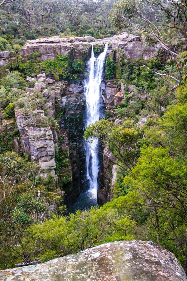 Carrington Falls imagen de archivo. Imagen de australia 60511985