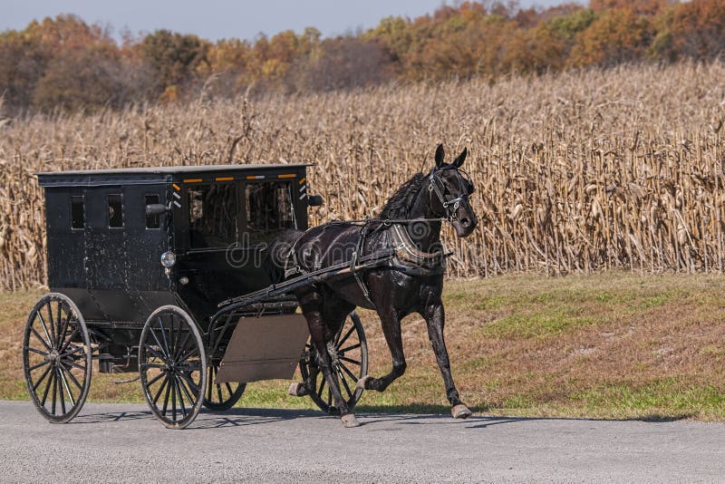 Carruagem Amish numa estrada rural imagens de stock