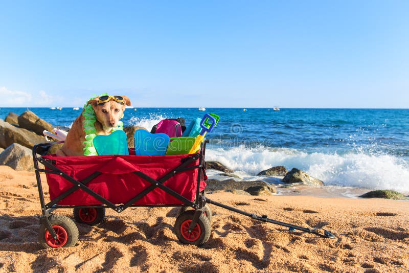 Red beach cart with luggage and dog in front of the sea. Red beach cart with luggage and dog in front of the sea