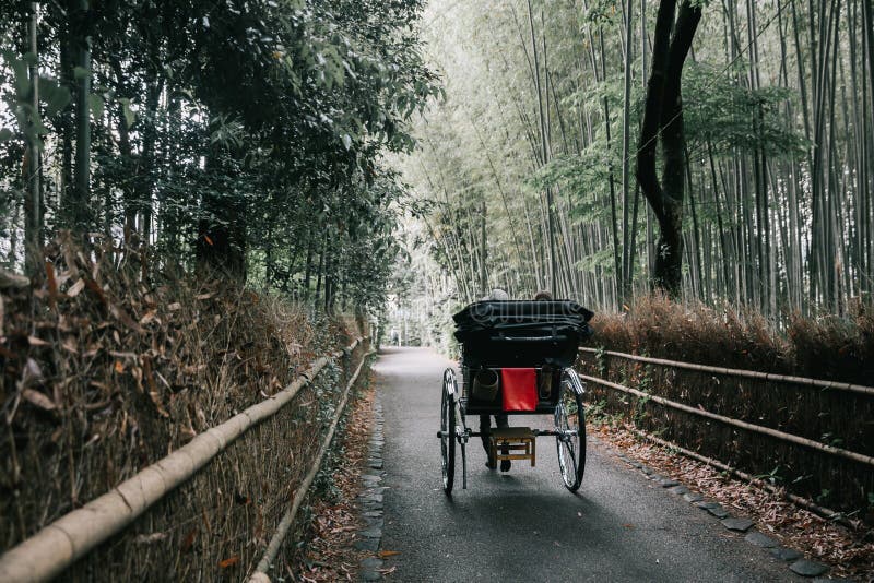 Carrito japonés con el bosque de bambú en Kyoto Japón imagenes de archivo Carrito japonés con el bosque de bambú en Kyoto Japón imagenes de archivo