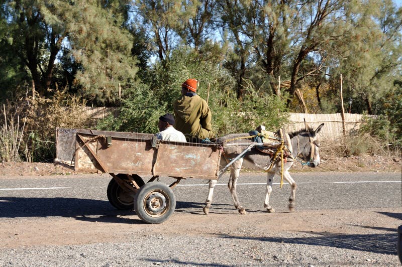 Carro Da Mula Em Uma Vila Marroquina Imagem Editorial - Imagem de