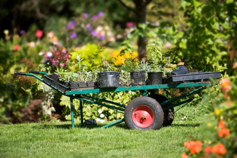 Carro De Jardín Con Las Plantas Imagen de archivo - Imagen de carlo,  agricultura: 90901573