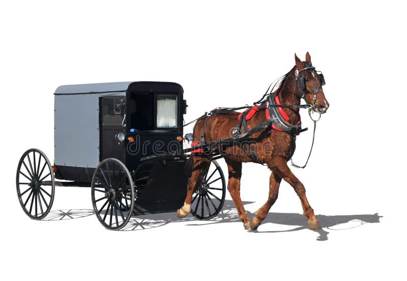 Carruagem puxada a cavalos Amish imagens de stock royalty free