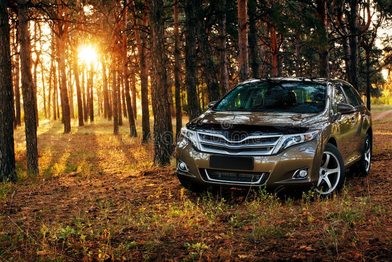Carro na floresta no por do sol foto de stock Carro na floresta no por do sol foto de stock