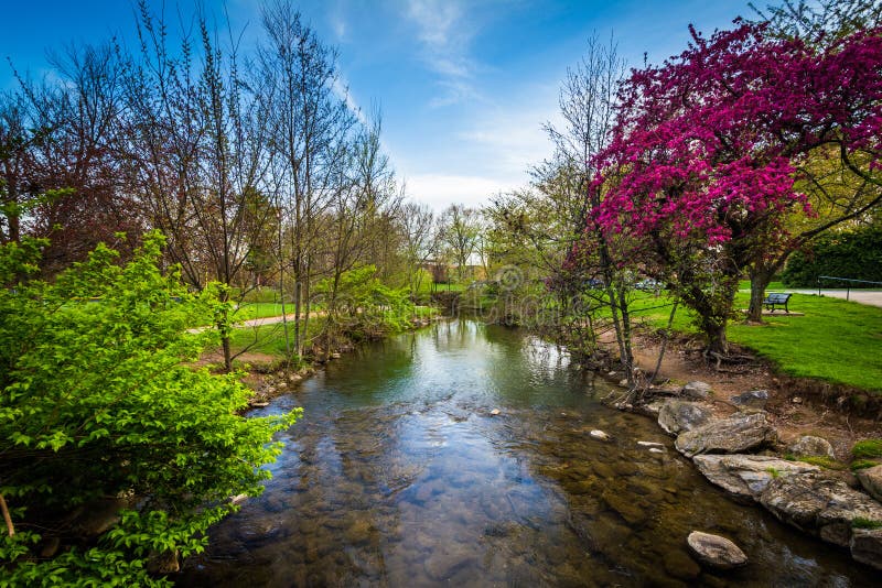 Carroll Creek at Baker Park, in Frederick, Maryland. Stock Photo