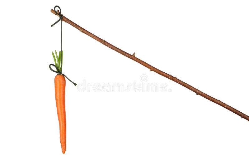 Carrot stock photography