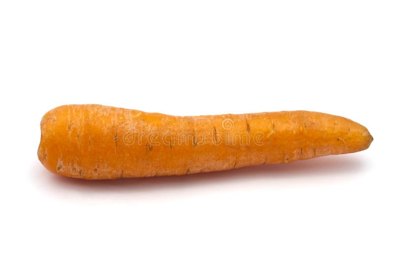 Carrot