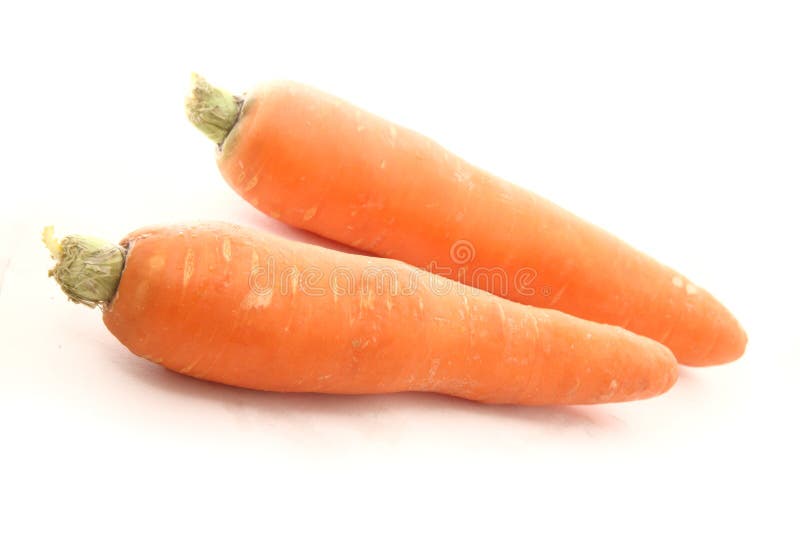 Carrot