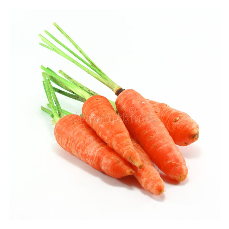 Carrot