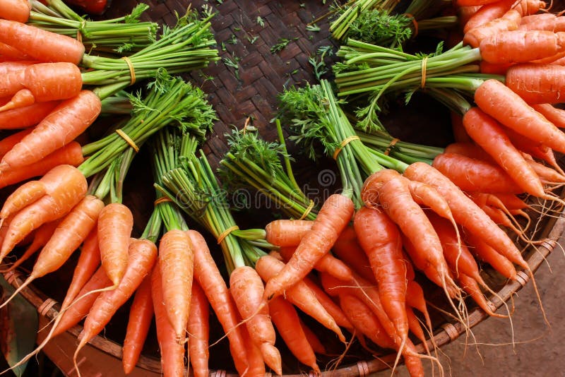 Carrot stock image. Image of basket, food, vegetable 40880463