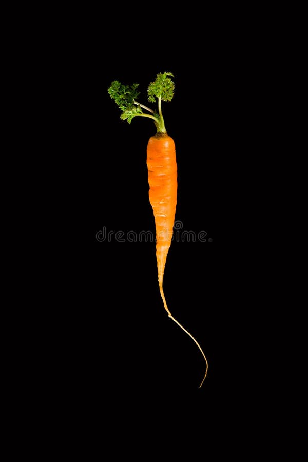 Carrot on black