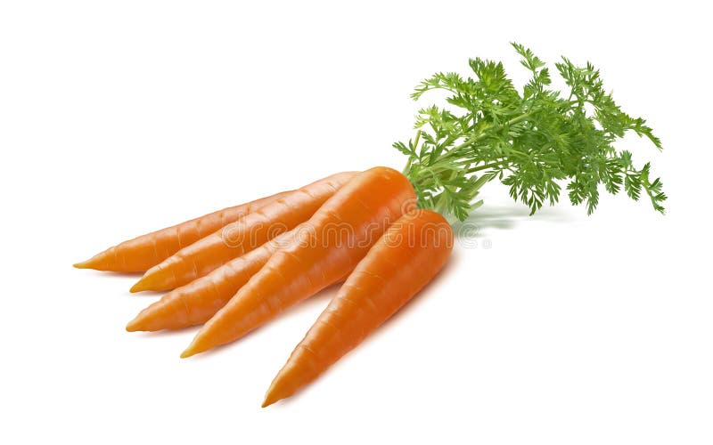 Carrot bunch isolated on white background