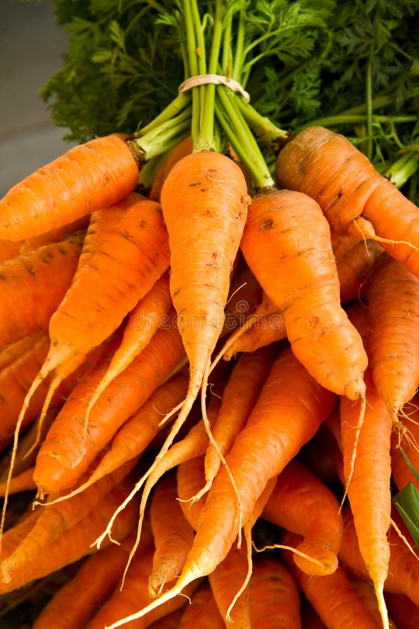 Carrot bunches