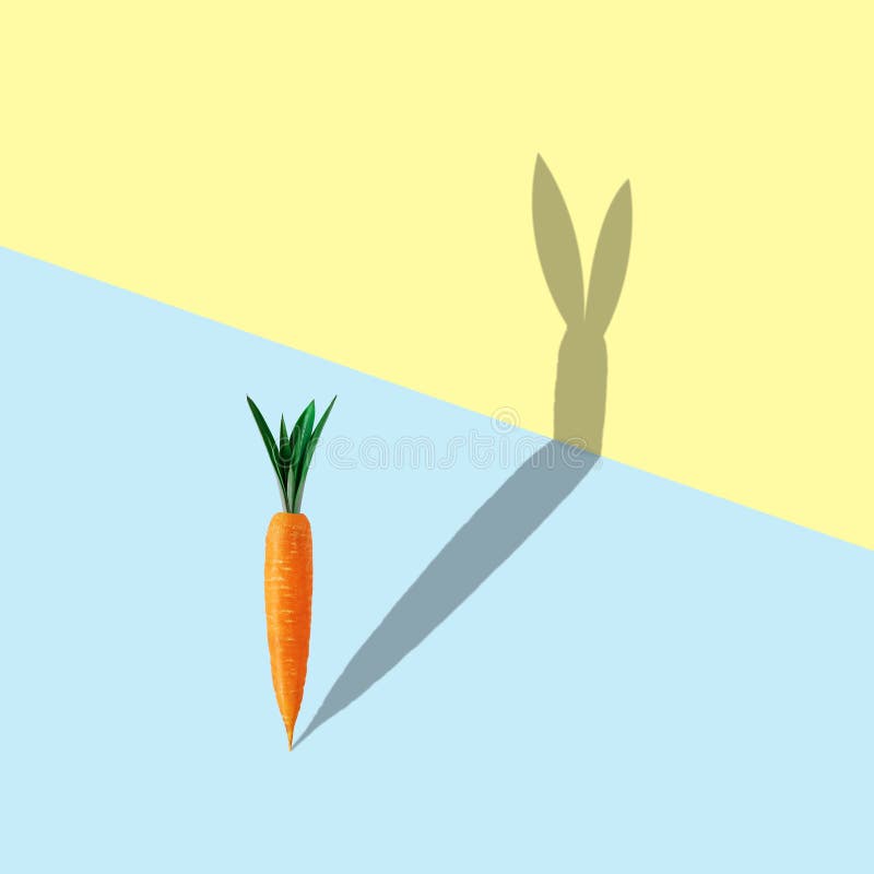 Carrot with bunny shape shadow on pastel blue and yellow background. Minimal easter concept stock images