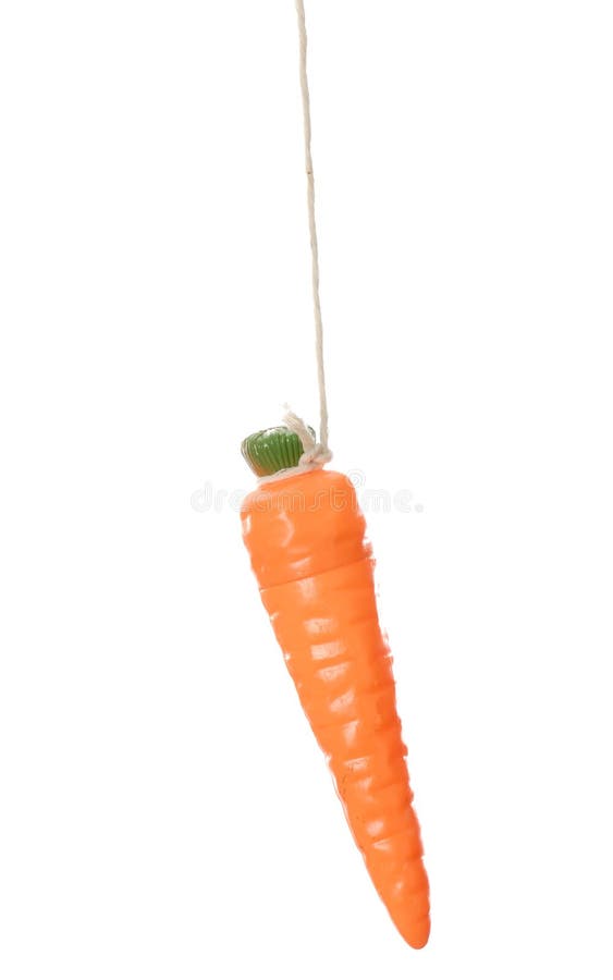 Carrot dangling on a string