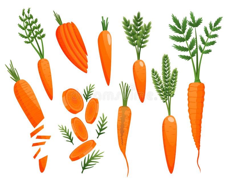 How To Draw Carrots, Step by Step, Drawing Guide, by Dawn - DragoArt