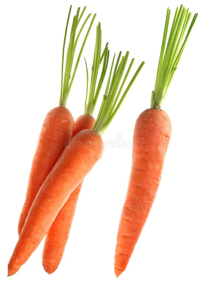 Carrot vegetable