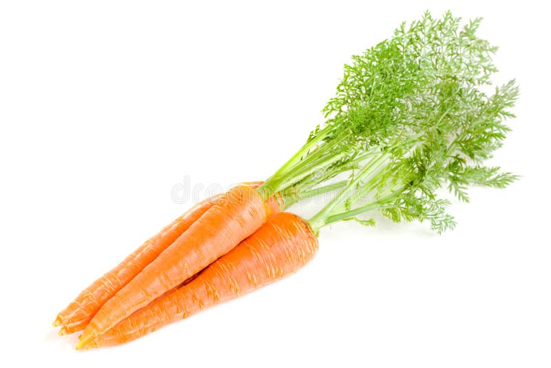 Carrot Vegetable with Leaves Isolated on White Background Stock Photo