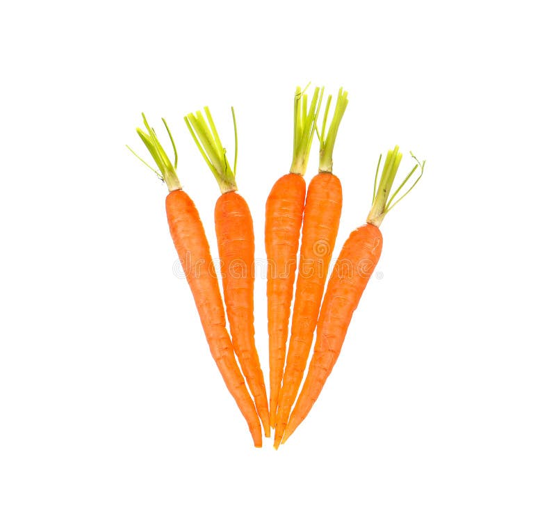 Carrot Vegetable with Leaves Isolated on White Background Cutout Stock