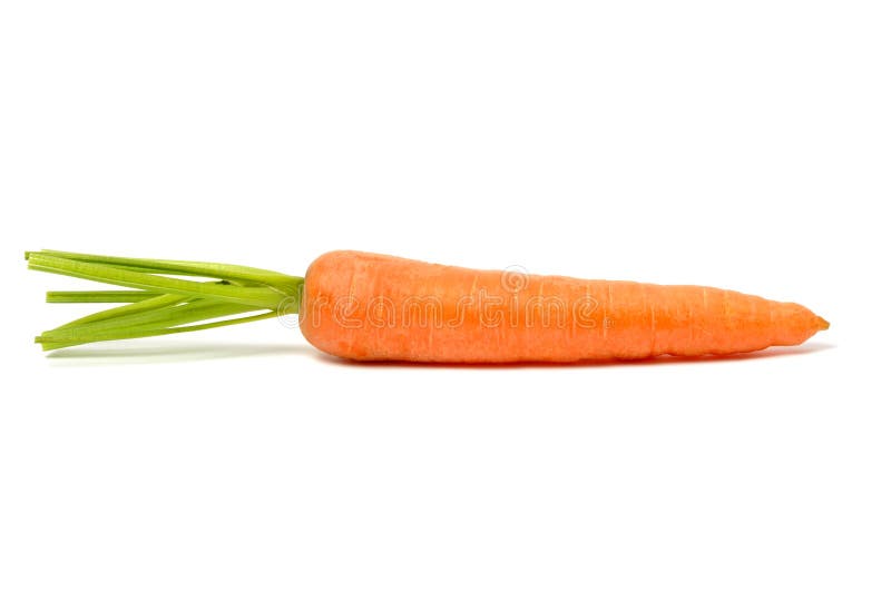 Carrot on White