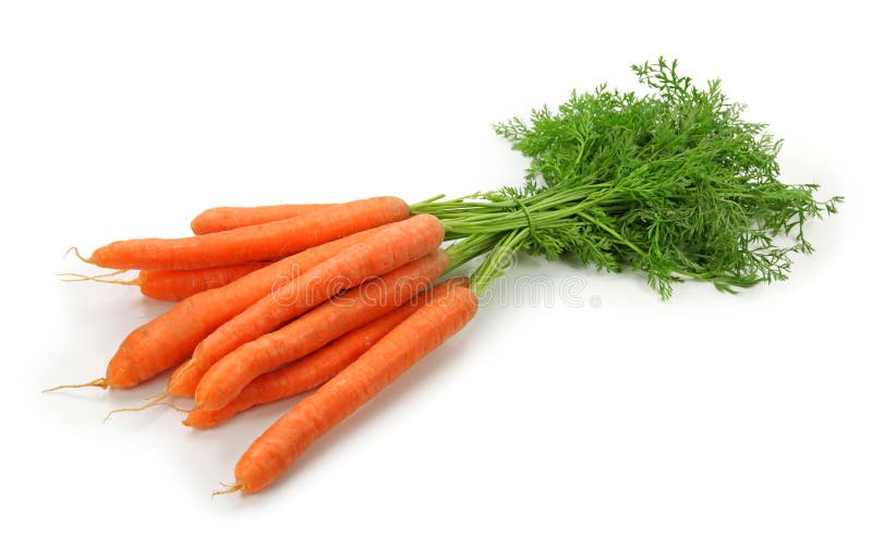 Carrots. Isolated on the white background Carrots. Isolated on the white background