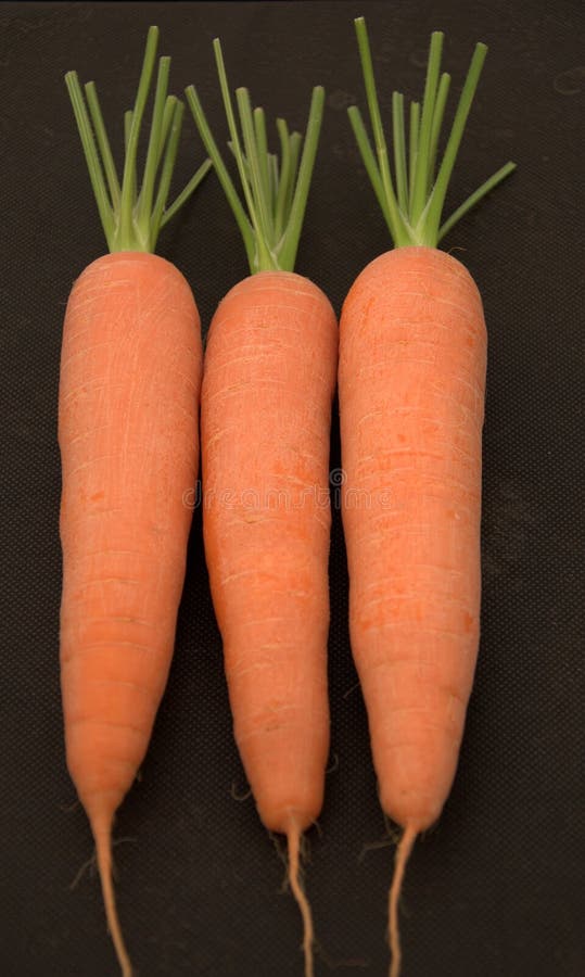 Carrots stock image. Image of fresh, diet, food, healthy - 15102483