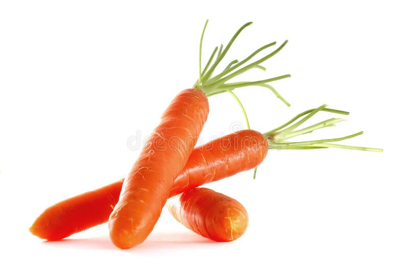 Photo of isolated fresh orange carrots.