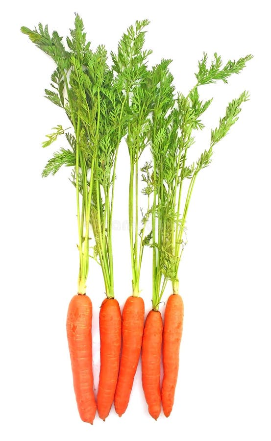 Carrots