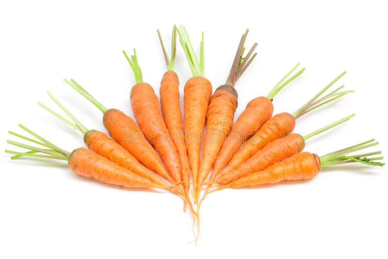 Carrots, baby carrots stock image. Image of freshness 63916977