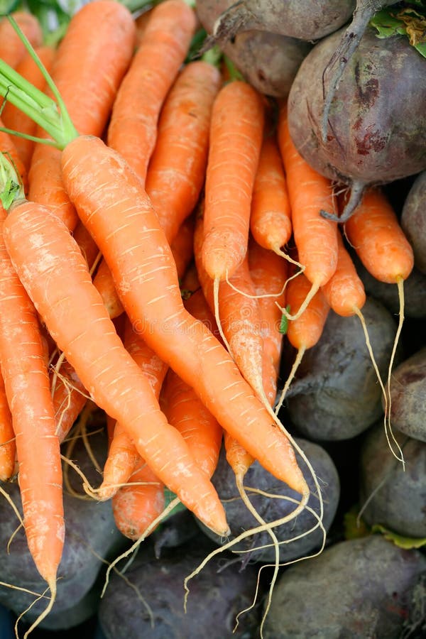 Carrots and beetroots